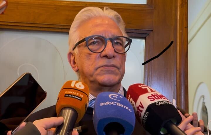 Vincenzo Napoli