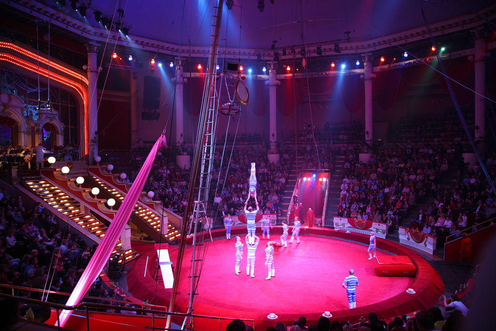 Circo