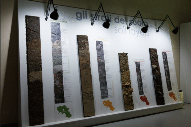 Museo del Suolo