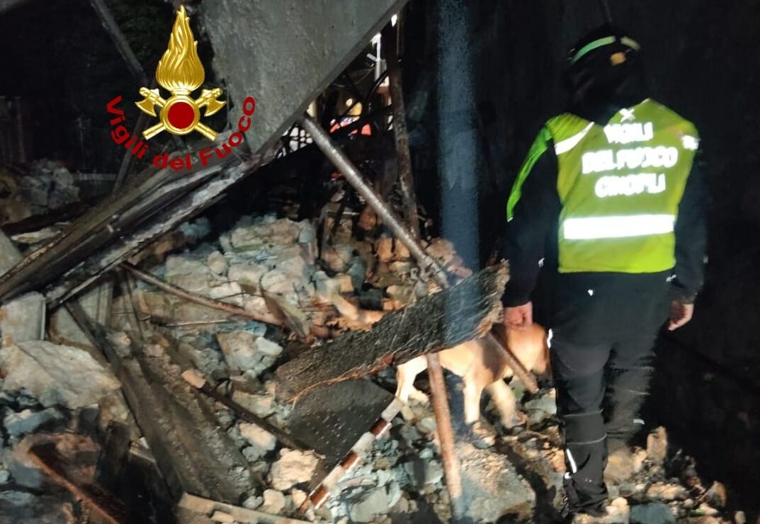 Vigili del Fuoco cinofili