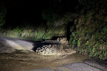 Frana Stella Cilento