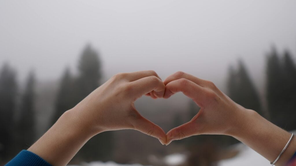 Mani cuore