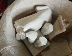 Polla, cappella ospedale