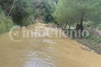 Strada provinciale 77 allagata