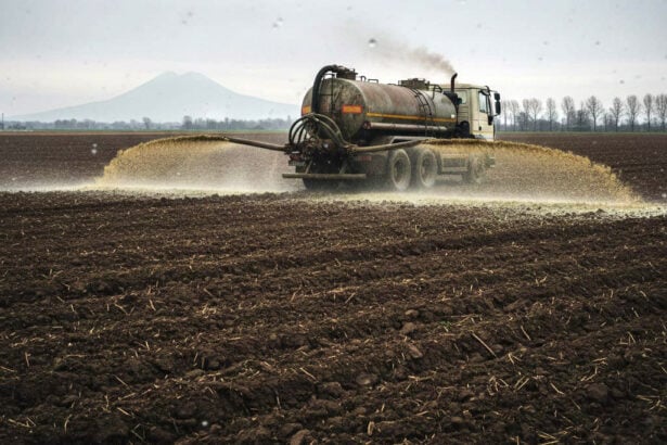 Spandimento effluenti zootecnici