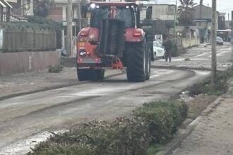 Ruspe in litoranea a Pontecagnano
