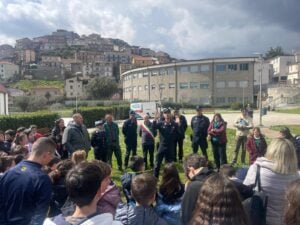 Albero Falcone Sanza