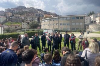 Albero Falcone Sanza