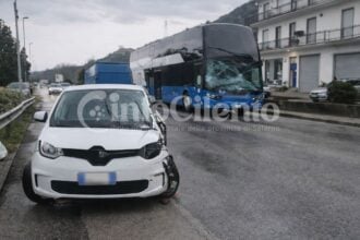 Incidente Atena Lucana