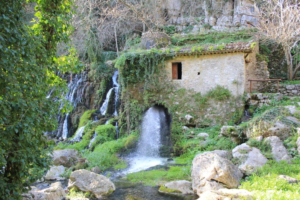 Morigerati