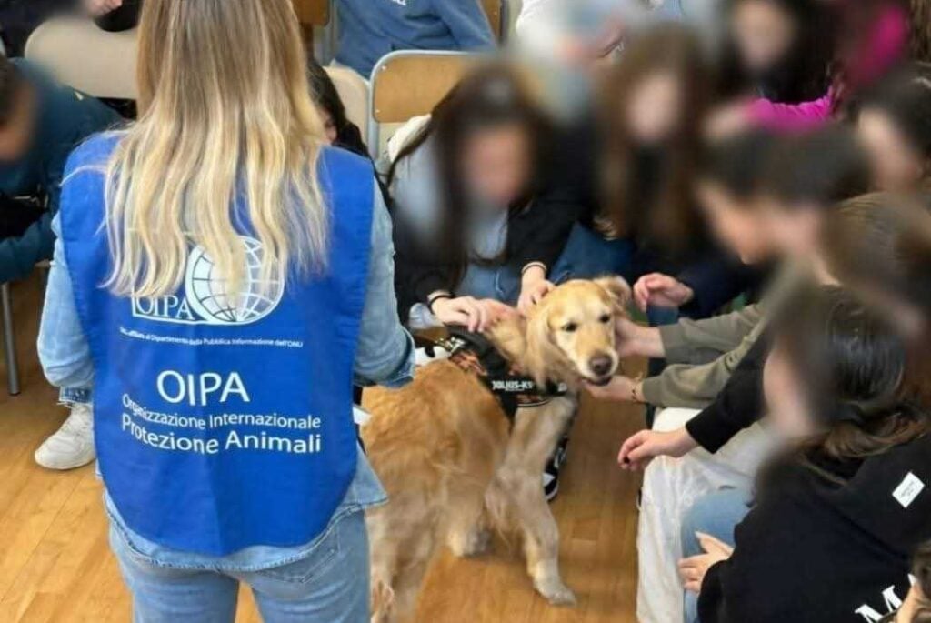 Oipa