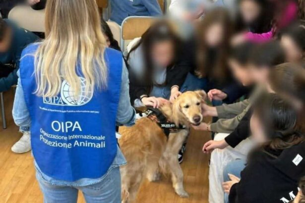 Oipa
