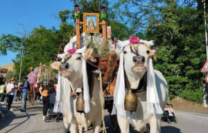 Valva, antica tradizione dei campanacci