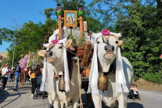 Valva, antica tradizione dei campanacci