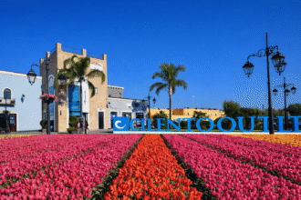 Cilento Outlet Tulipani
