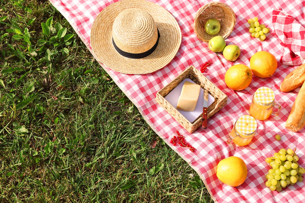 Picnic
