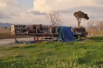 Pontecagnano rifiuti