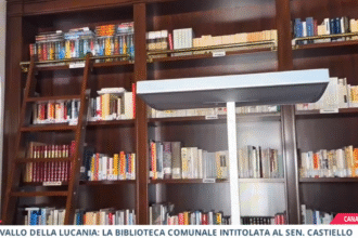 Biblioteca Vallo della Lucania
