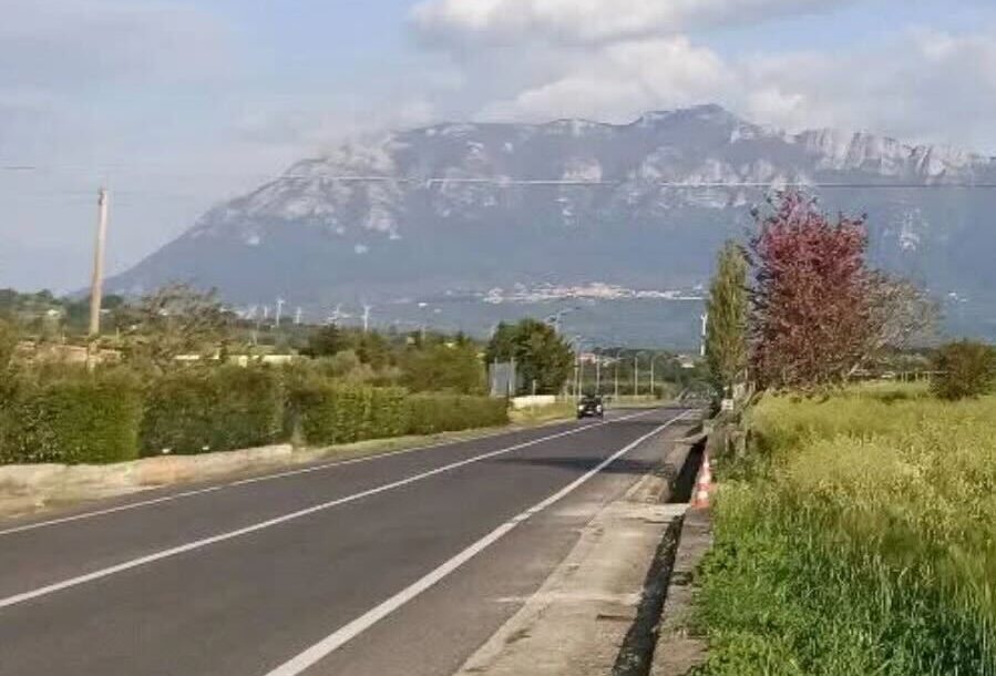 SS19