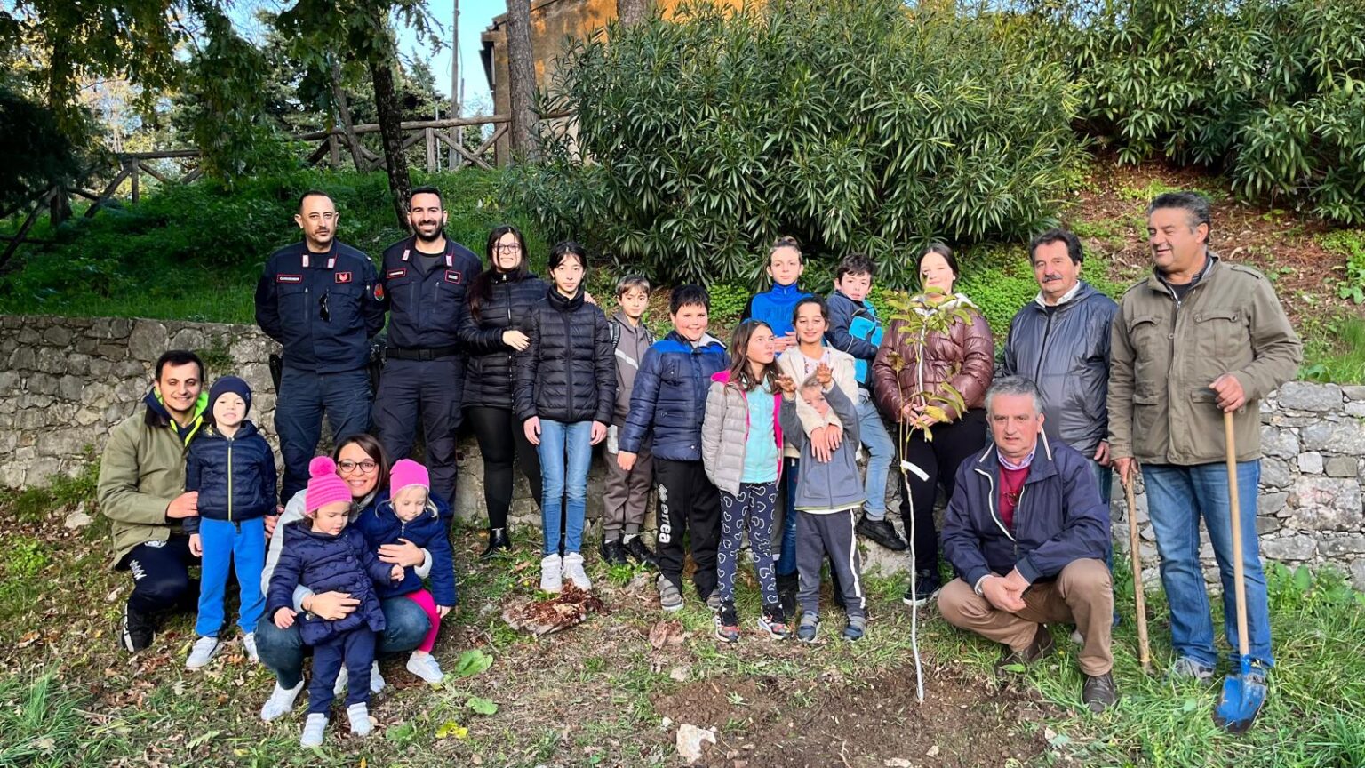 Albero di Falcone