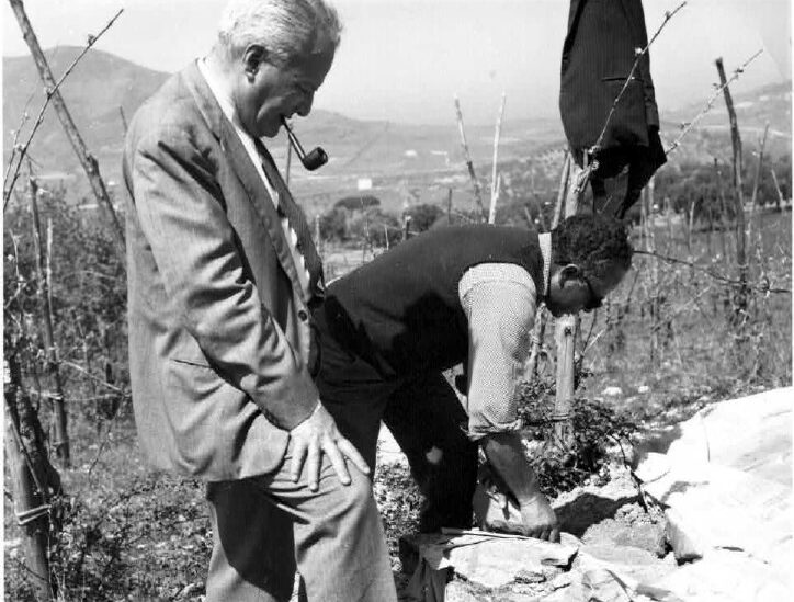 Mario Napoli