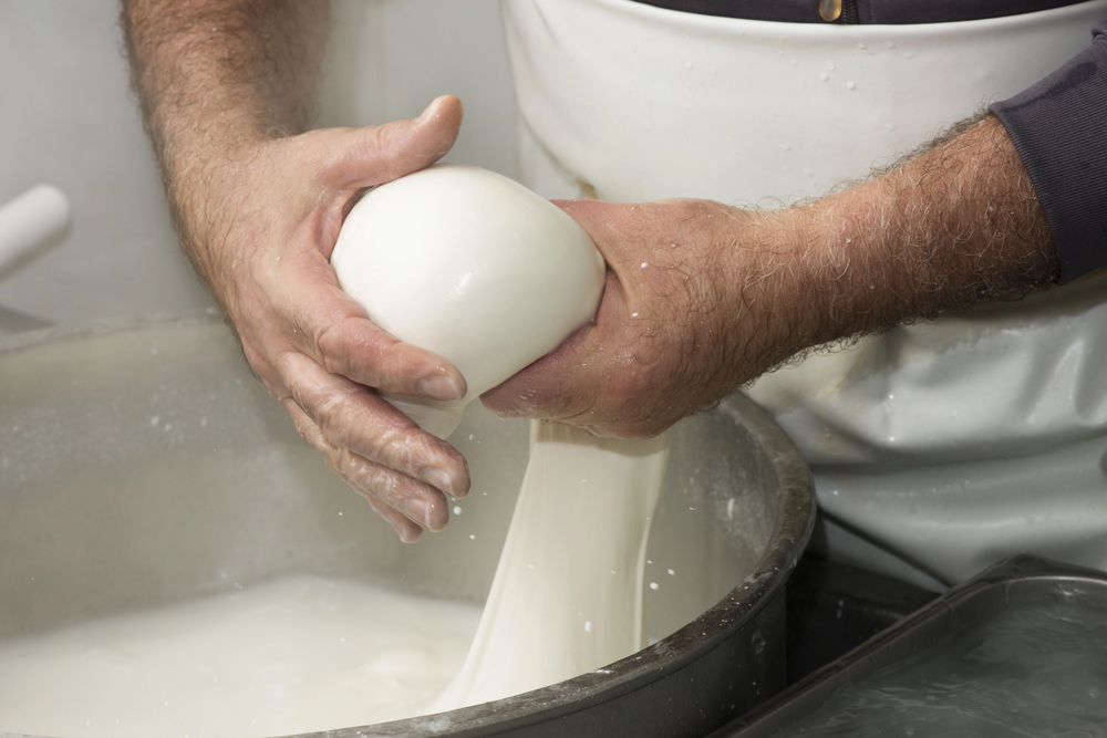 mozzarella