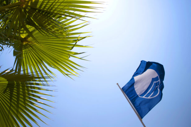 Bandiera Blu