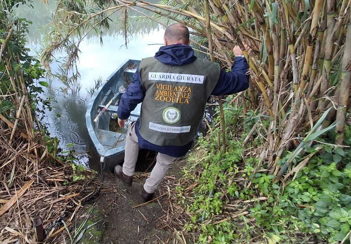Controlli pesca illegale