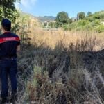 Carabinieri forestali