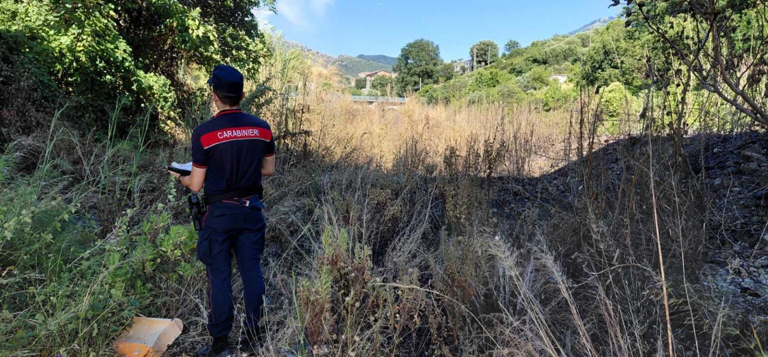 Carabinieri forestali