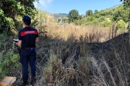 Carabinieri forestali