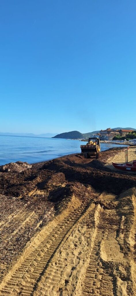 Castellabate posidonia