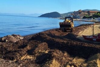 Castellabate posidonia