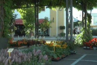Cilento Green Festival