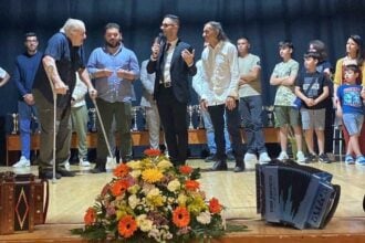 Festival organetto