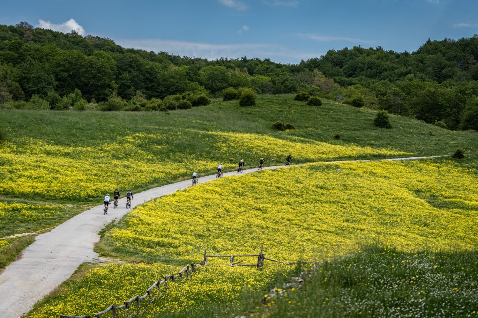 Alburni Bike Marathon