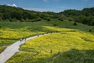 Alburni Bike Marathon