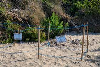 Caretta Caretta Baia Arena