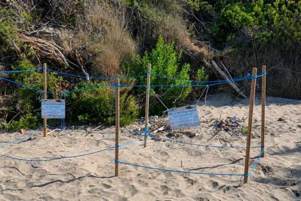 Caretta Caretta Baia Arena