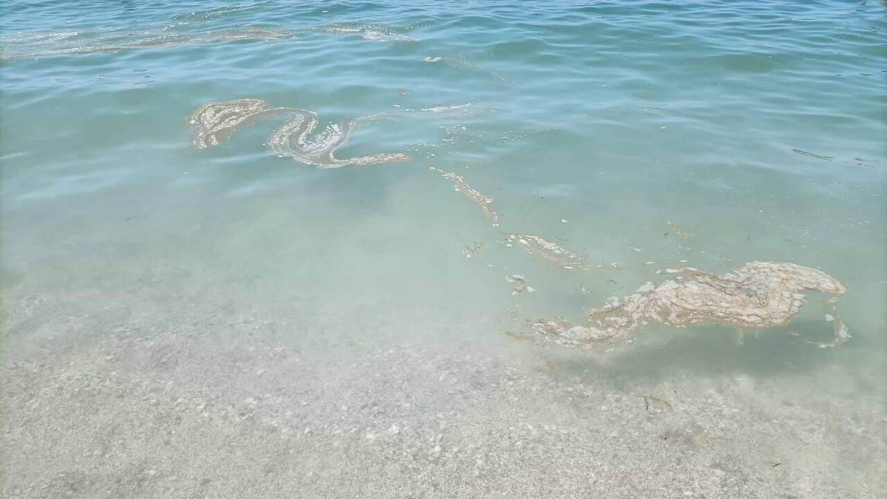 mare Salerno