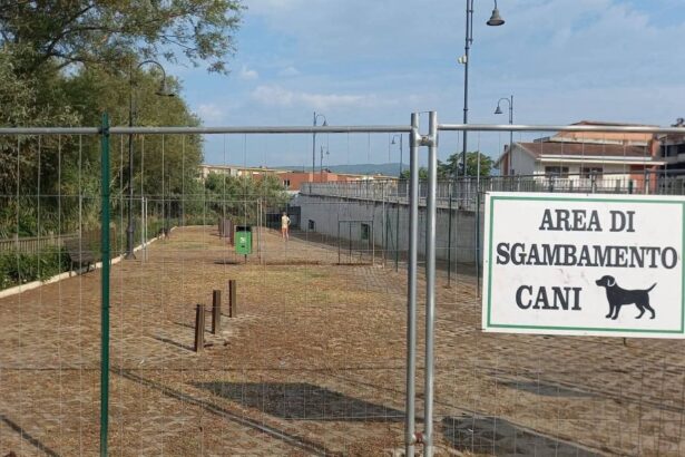Area sgambamento cani Agropoli