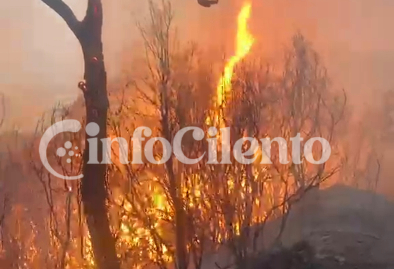 Incendio