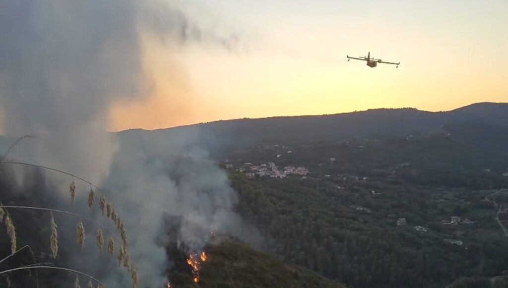 Incendio Lentiscosa