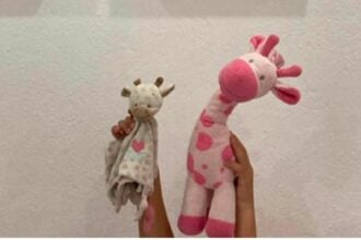 Furto Capaccio