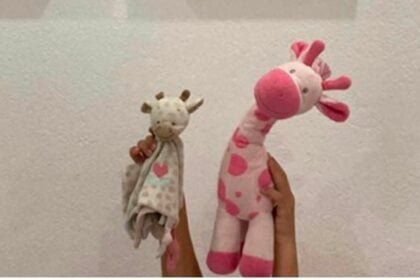 Furto Capaccio