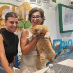 Pollica ufficio turismo