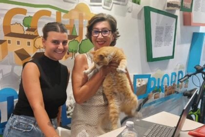 Pollica ufficio turismo