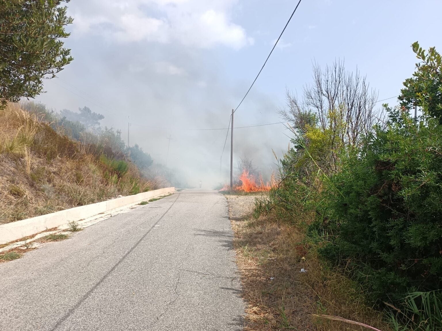 Incendio ad Omignano e Ascea: Cilento di nuovo nella morsa del fuoco