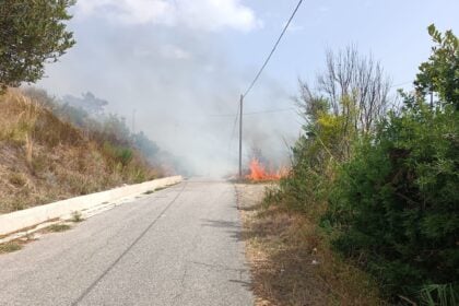 Incendio ad Omignano e Ascea: Cilento di nuovo nella morsa del fuoco