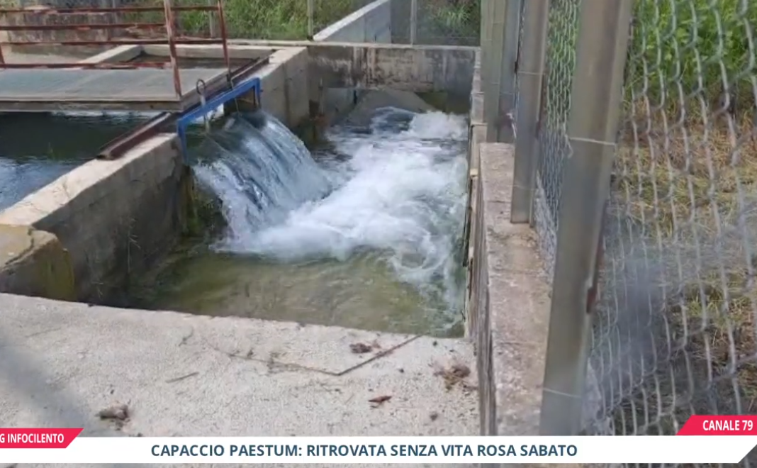 Capaccio Paestum, giallo Rosa Sabato: l’enigma del percorso nel canale